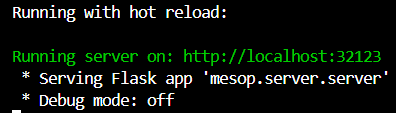 Mesopを使ってHello Worldを表示するときのターミナル上での応答
