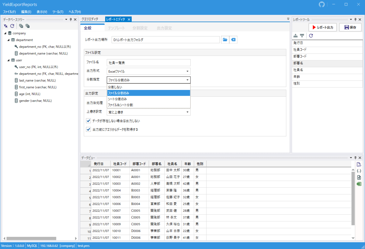 ReportGeneralSettingFileSplit