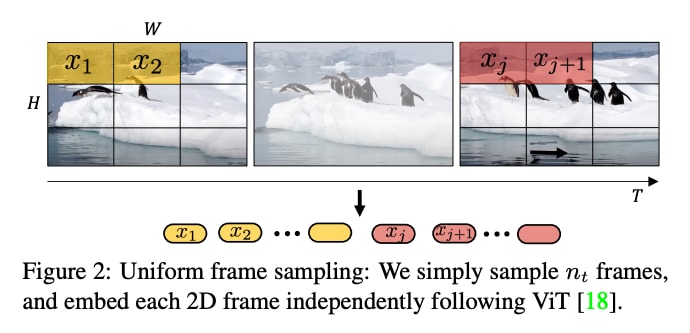 ViViT_fig1