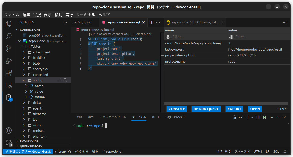 /images/20240117_devcon_fossil_vscode/devcon-fossil_21-sqltool-new_05.png