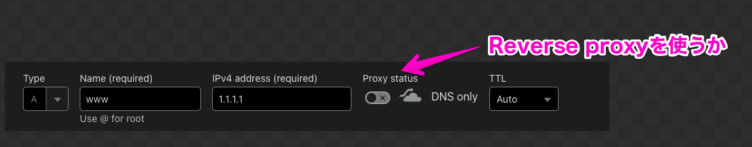 DNSレコード設定画面