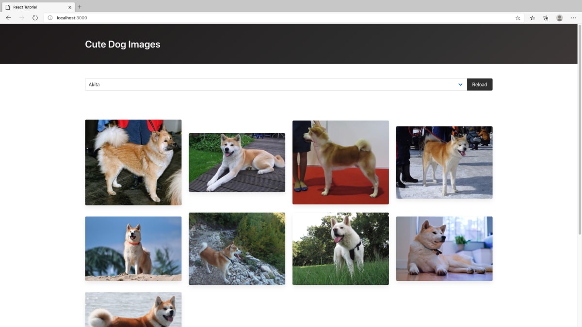 Reactチュートリアル1 犬画像ギャラリーを作ろう