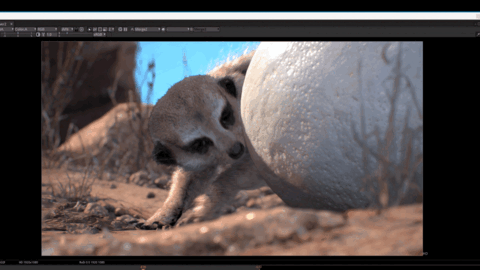 0720-anim.gif