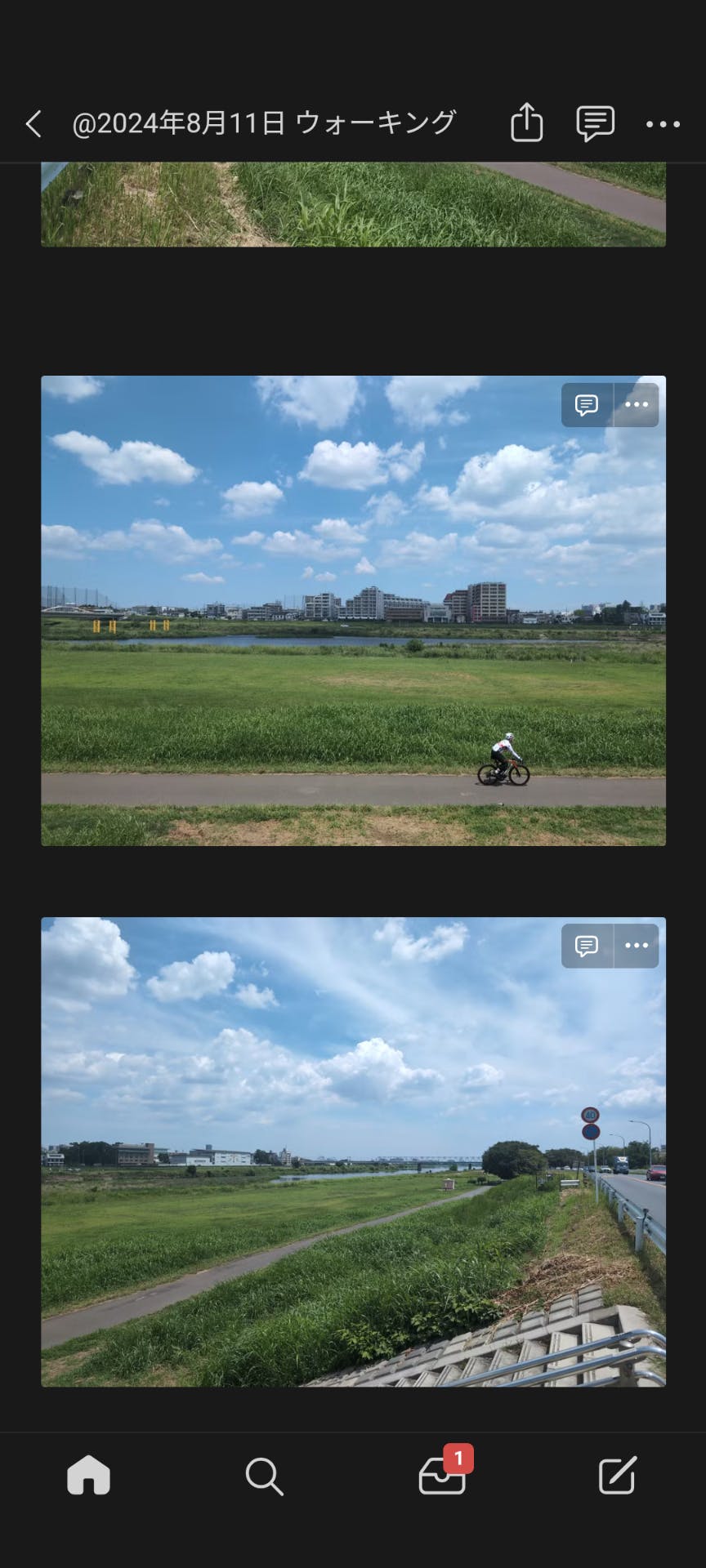 Notion のページに河川敷の写真が保存されているスクリーンショット