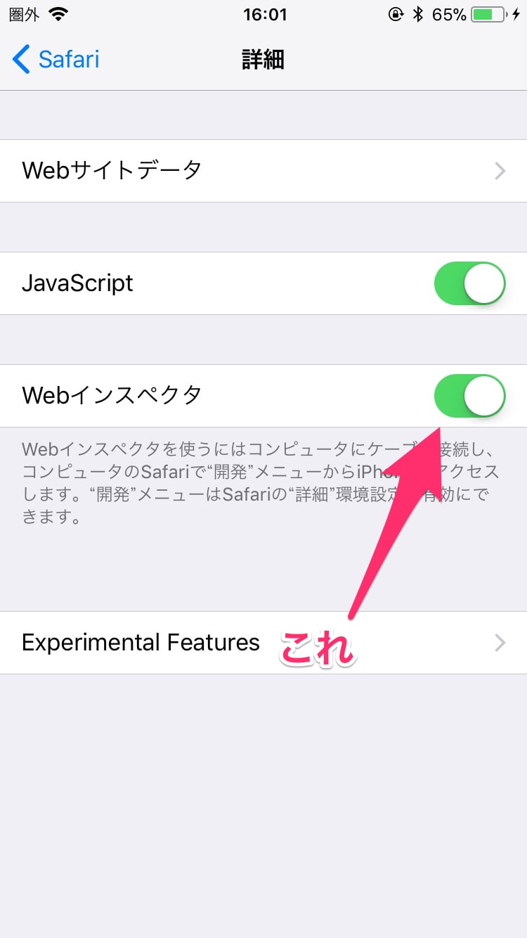 「詳細」=> 「Webインスペクタ」をON