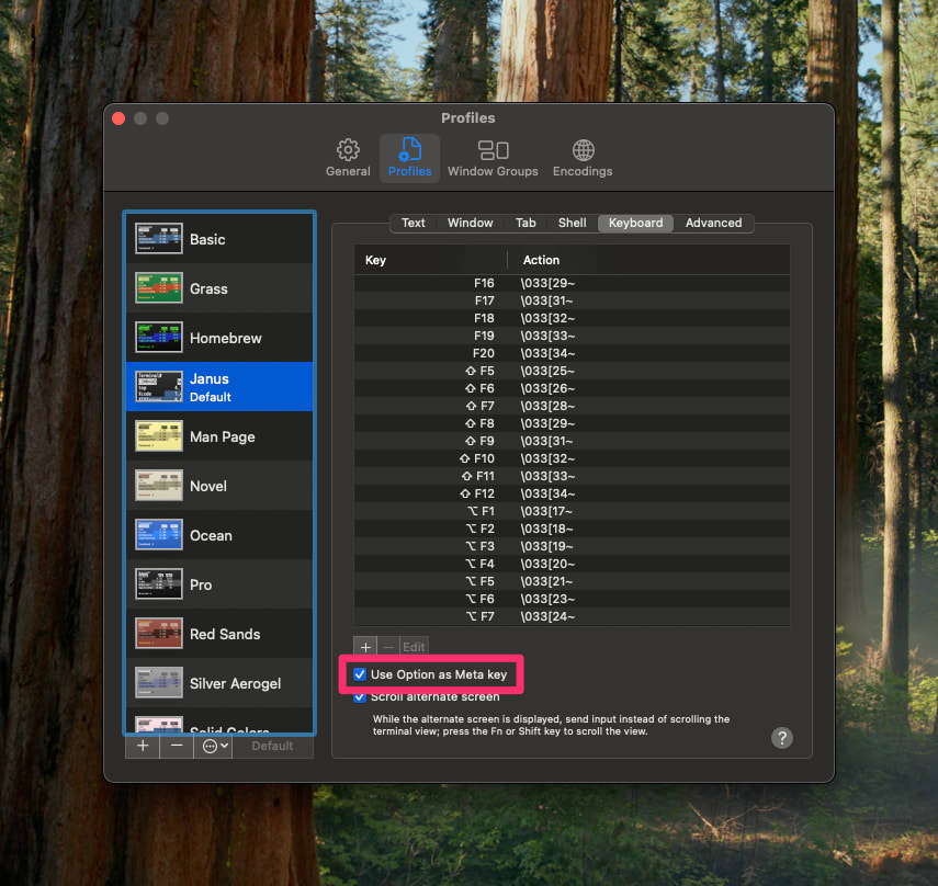 Use Option as Meta key