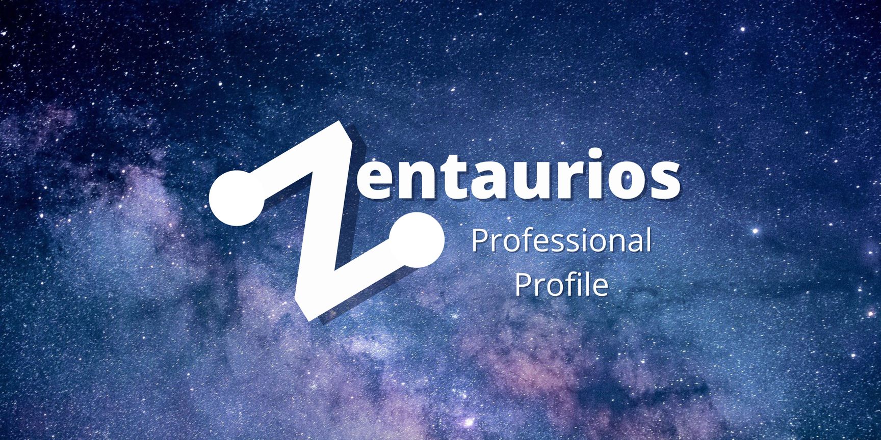 The Zentaurios Professional Profile - ZentaProfile