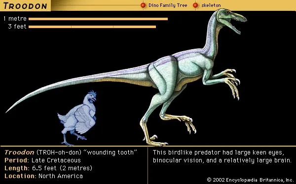 New carbonate analysis method applied to eggshells from Troodon, reptiles and birds