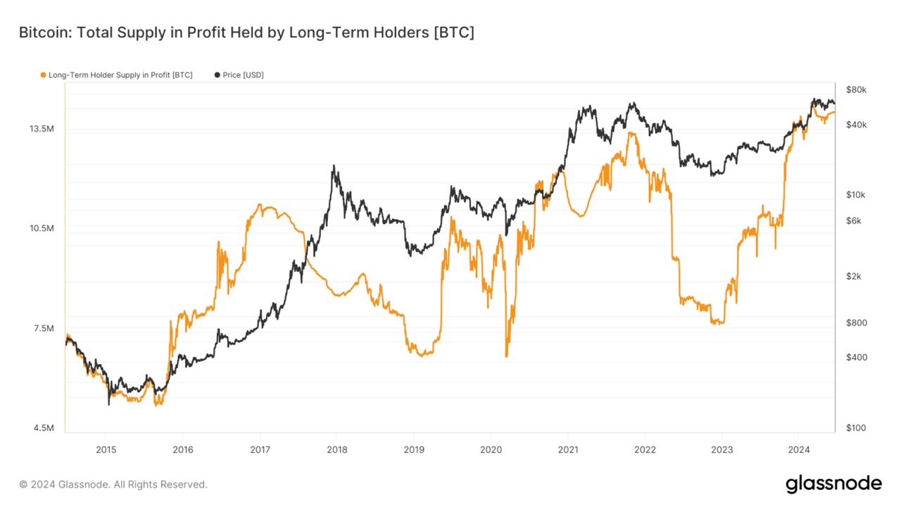 Bitcoin's Long-Term Holders: A Steady Climb Above 14 Million BTC in Profit