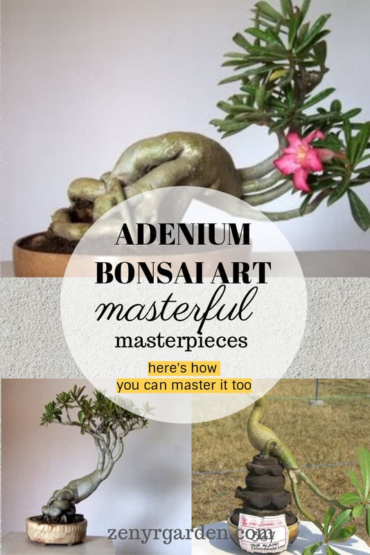 adenium-bonsai-art-sculpture-carving
