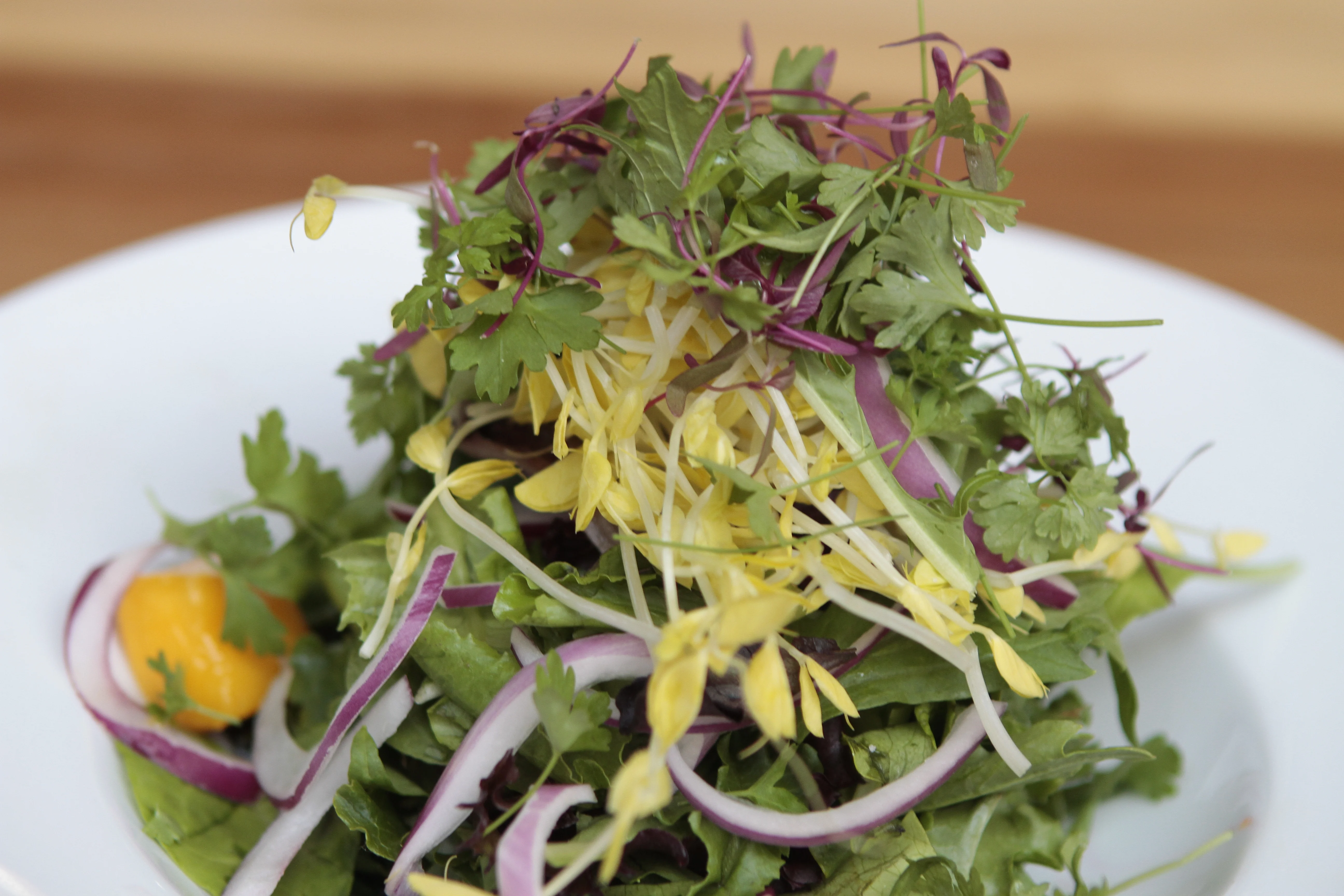 Well Being Organic Salad Well Being Organic Salad