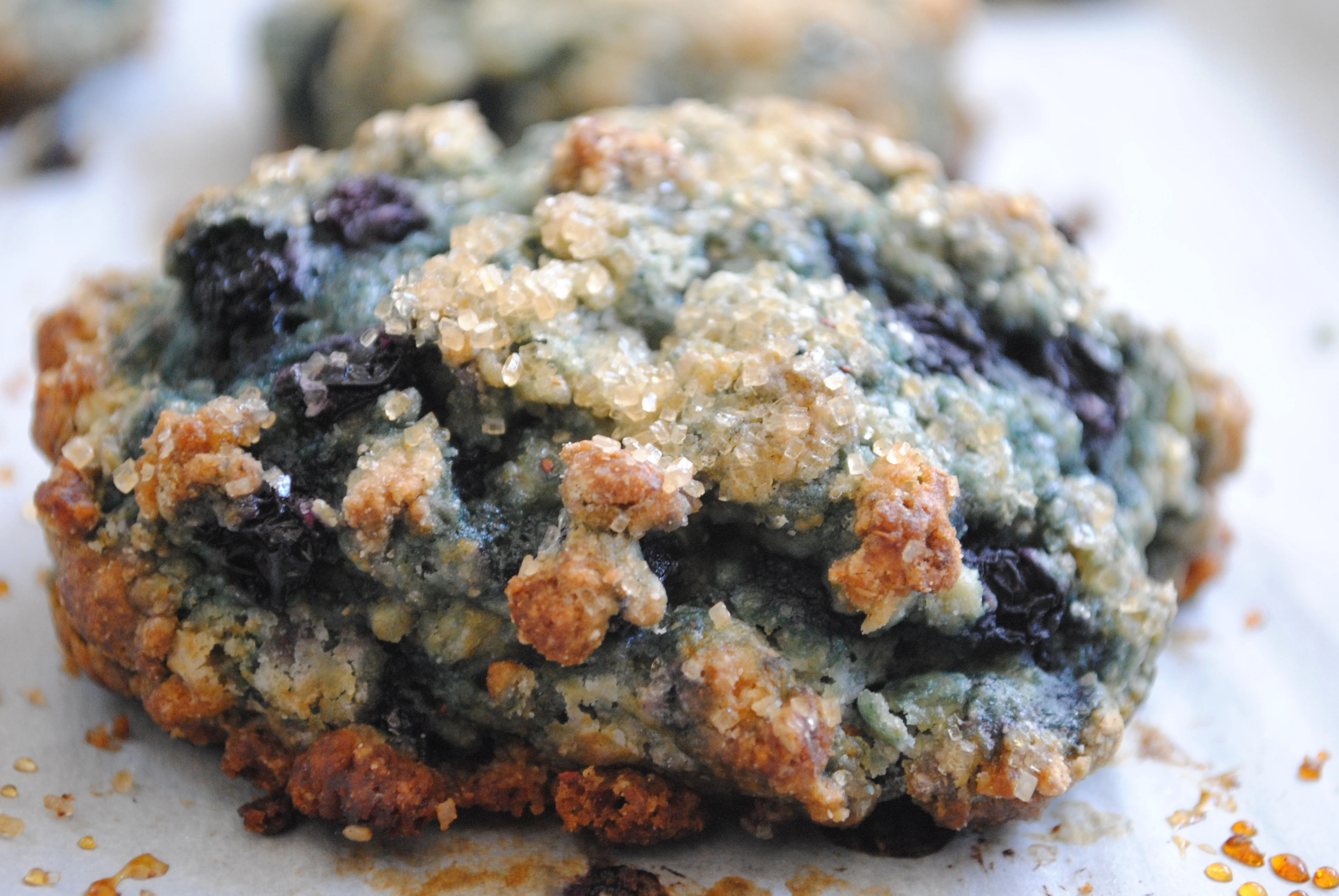 Blueberry Whole Wheat Scone