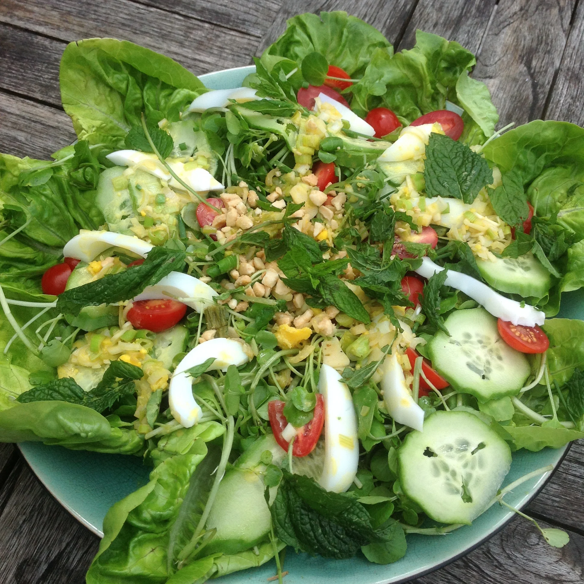 Laos Salad