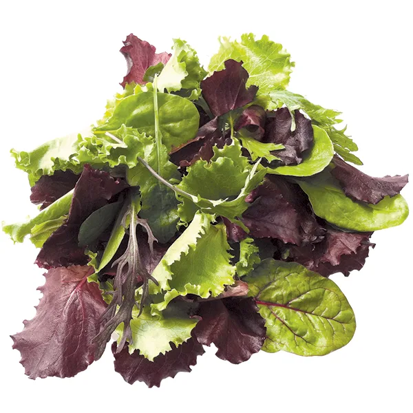 Mesclun Spring Mix