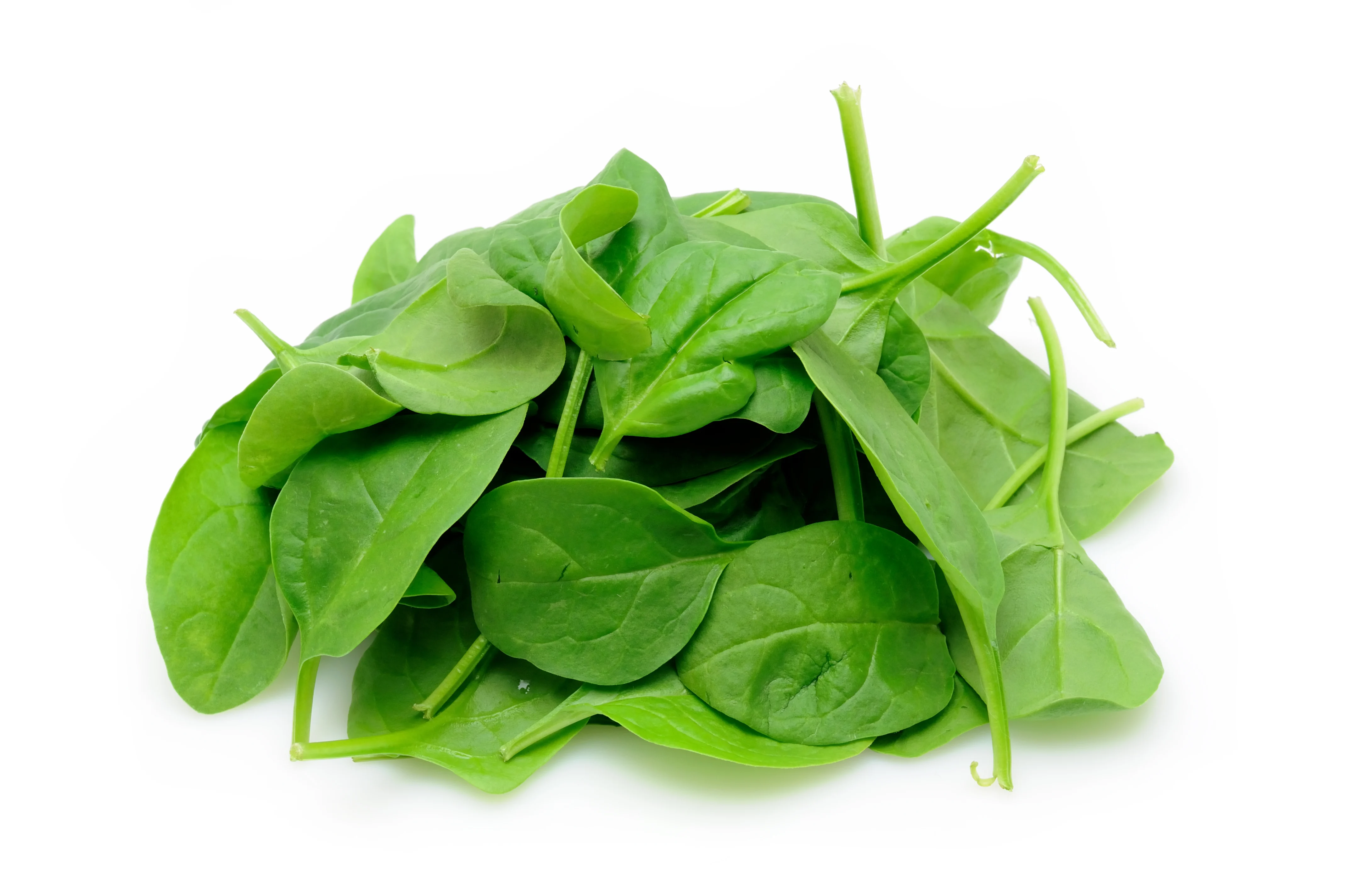 Organic Spinach Organic Spinach