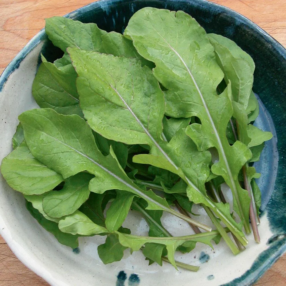 Arugula