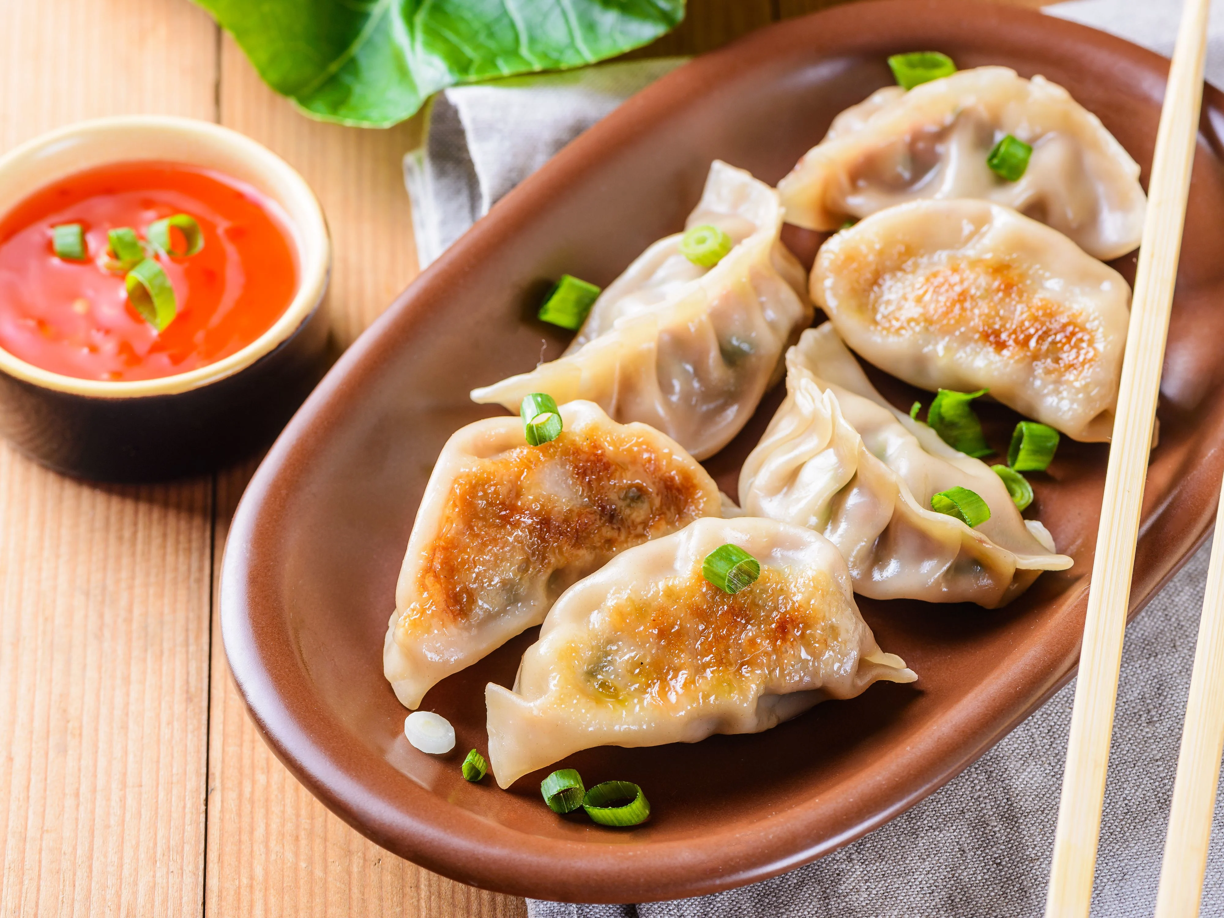 Fried Pork Dumpling Fried Pork Dumpling