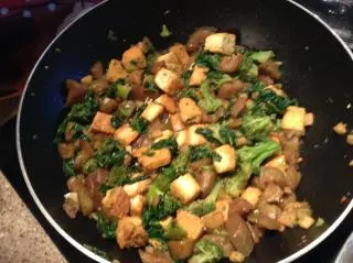 Eggplant with Broccoli in Garlic Sauce