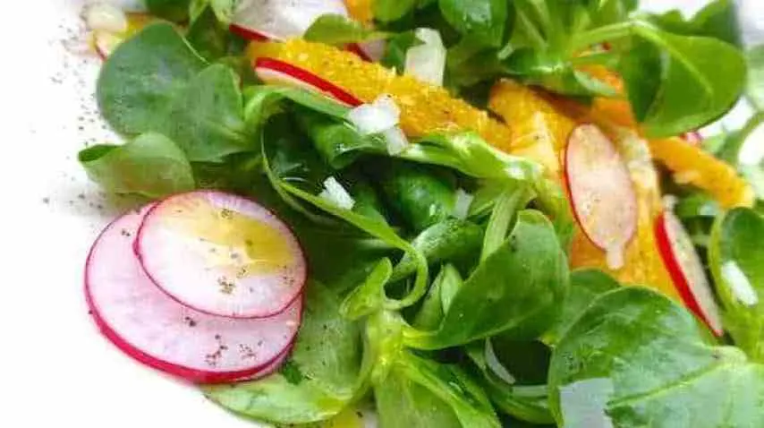 Individual Boxed: Side Salad Individual Boxed: Side Salad