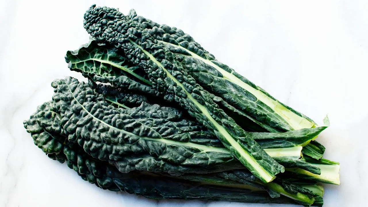 Lacinato Kale Lacinato Kale