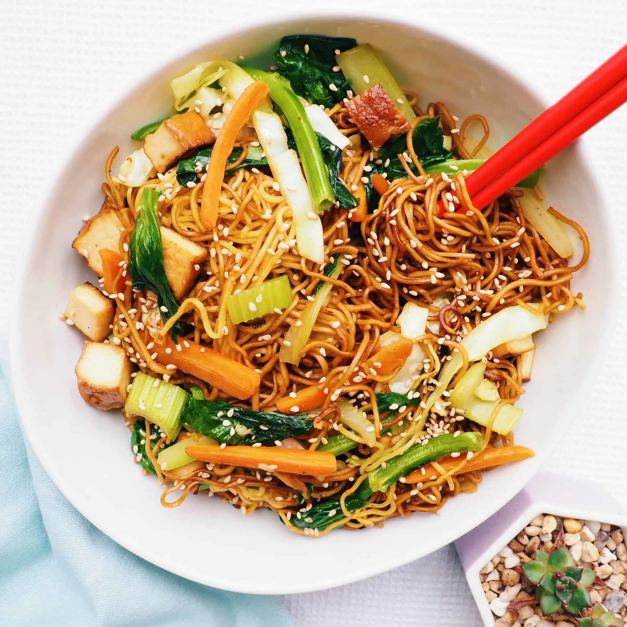 Vegetarian Tofu & Vegetable Lo Mein