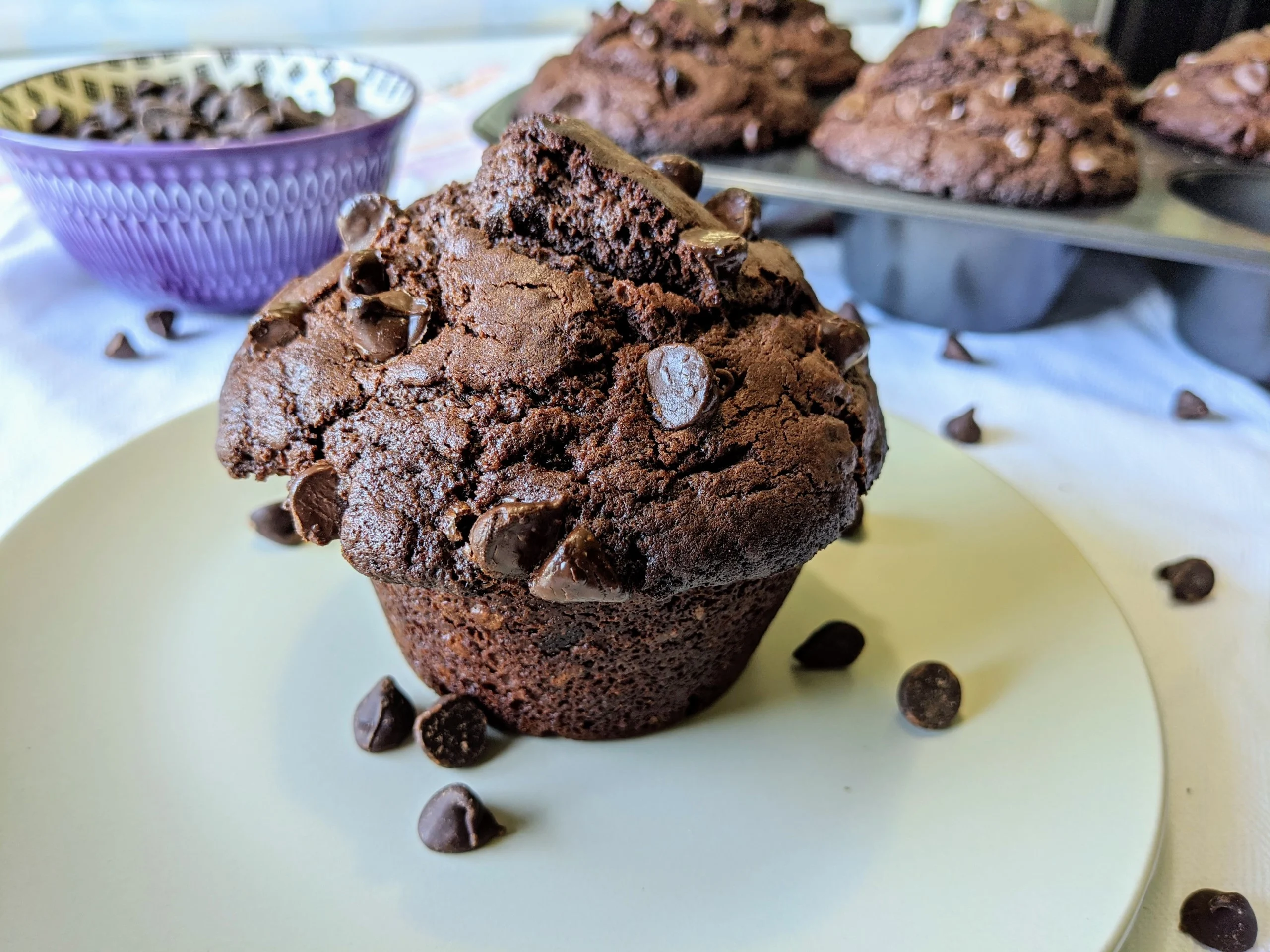 Individually Packaged: Double chocolate muffins Individually Packaged: Double chocolate muffins