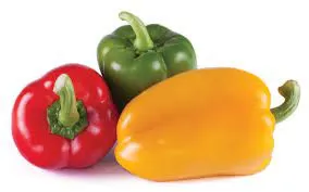 Fresh Bell Peppers Fresh Bell Peppers