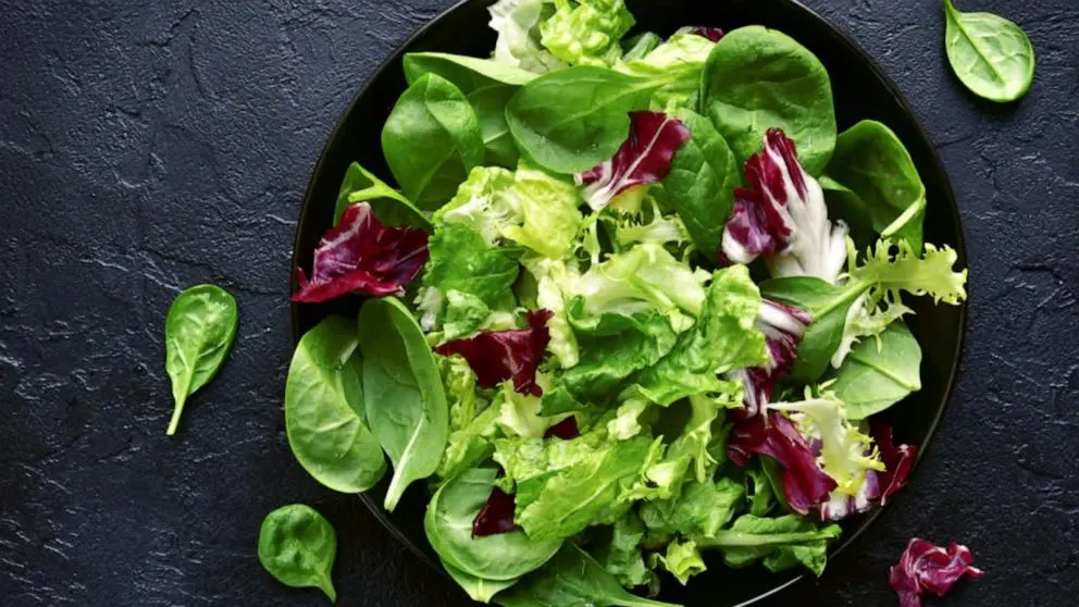Romaine Lettuce Romaine Lettuce