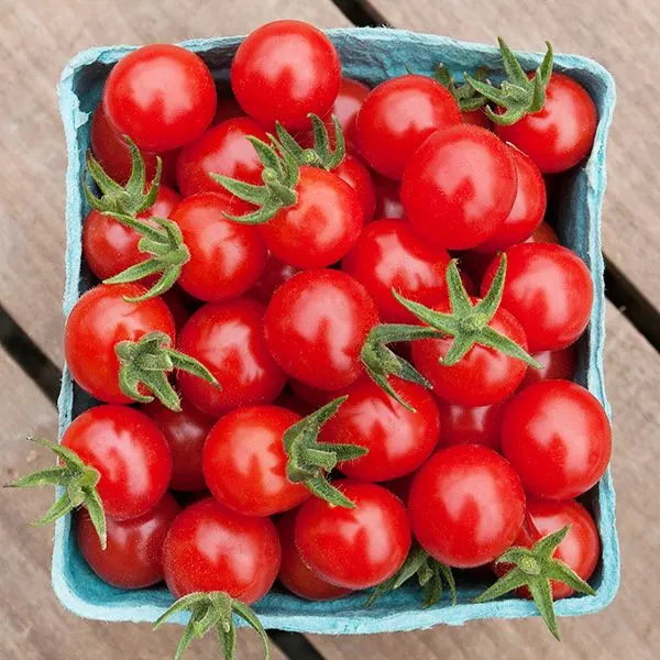 Sliced Tomato Sliced Tomato