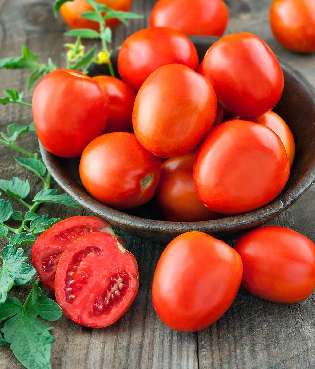 Tomatoes