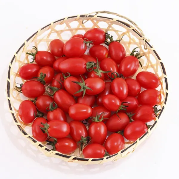Grape Tomato