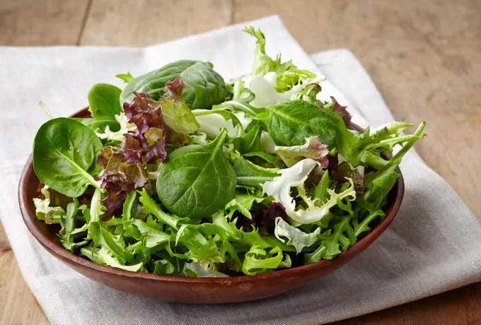 Salad Mix Salad Mix