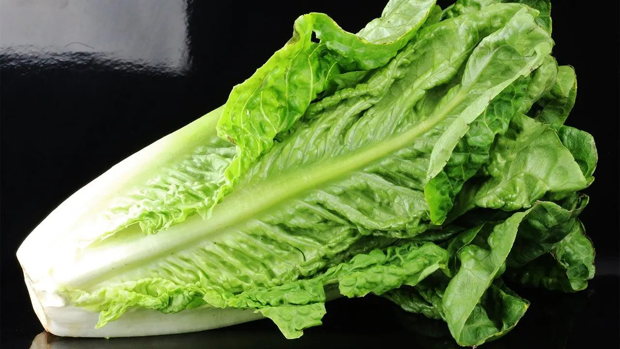 Romaine Hearts