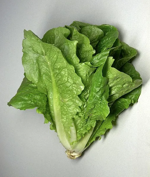 Lettuce Wraps