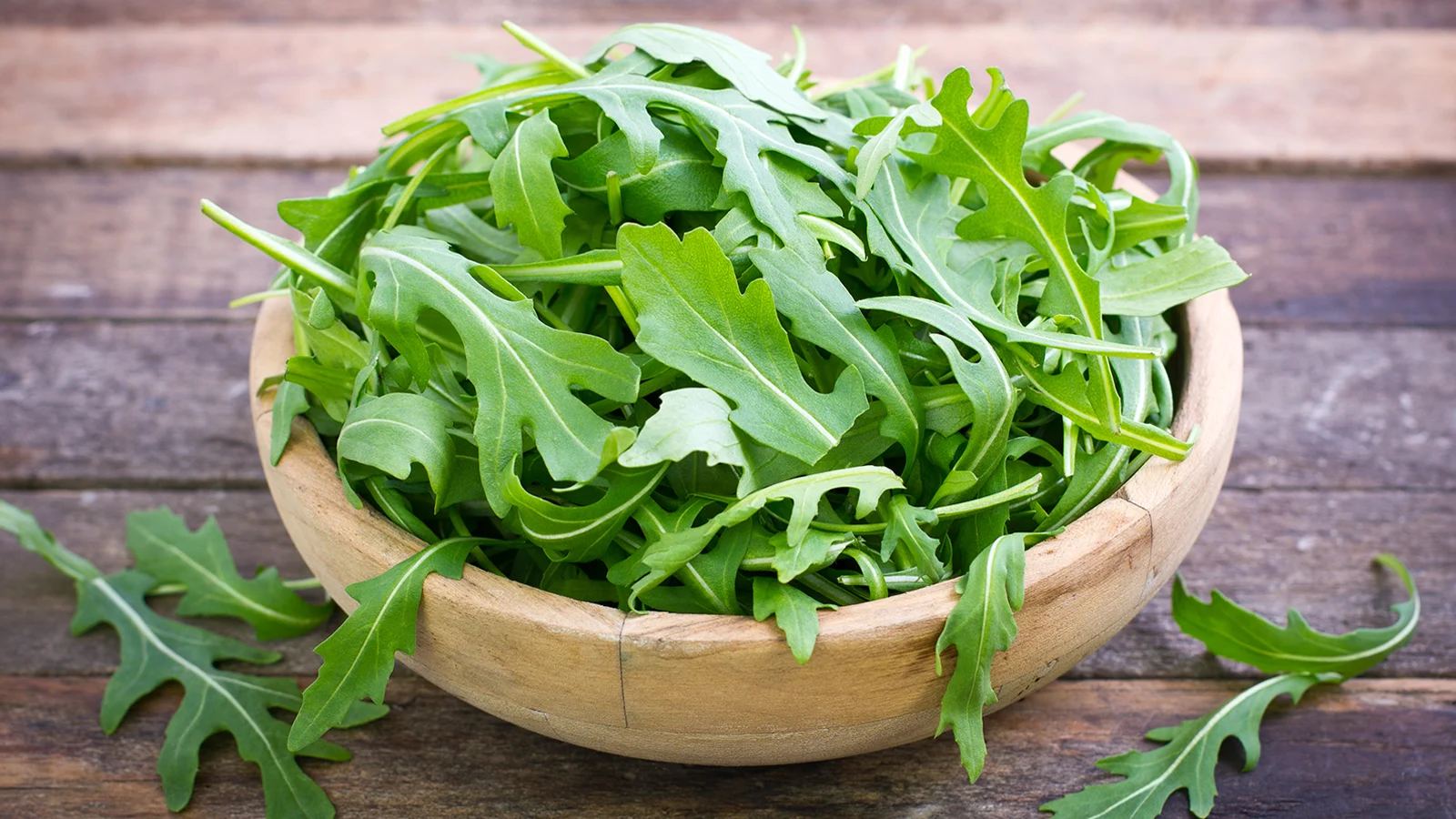 Arugula Arugula