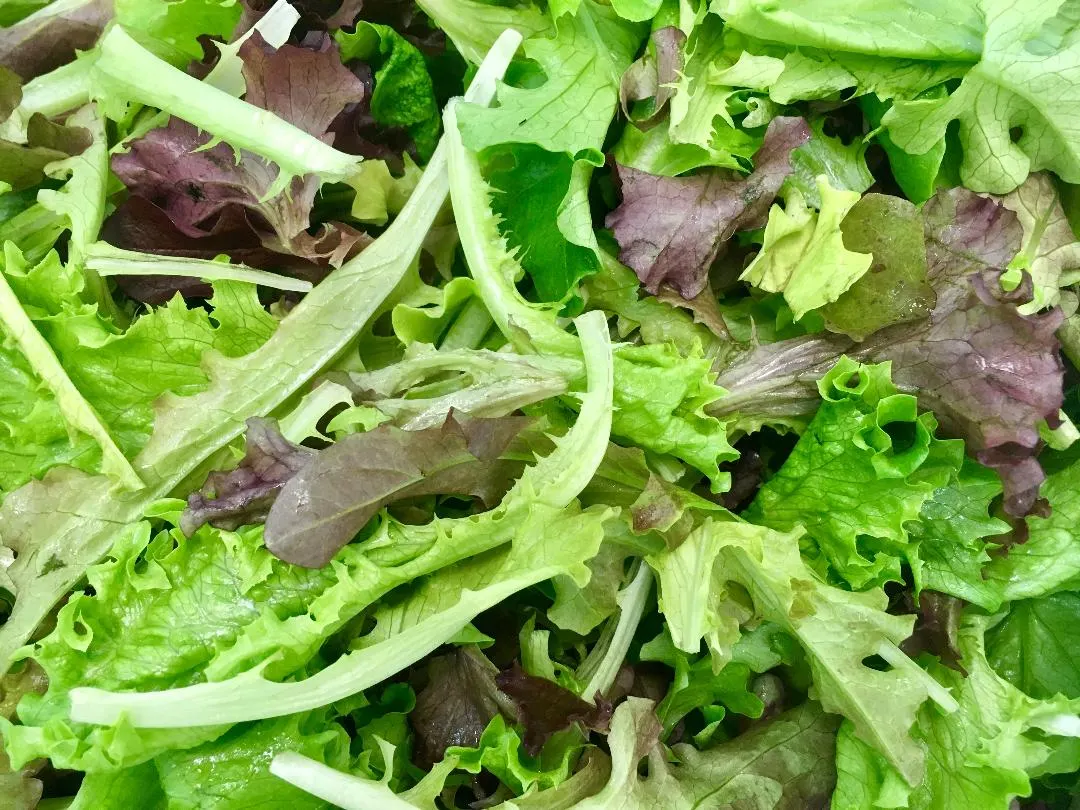 Spring Mix Spring Mix