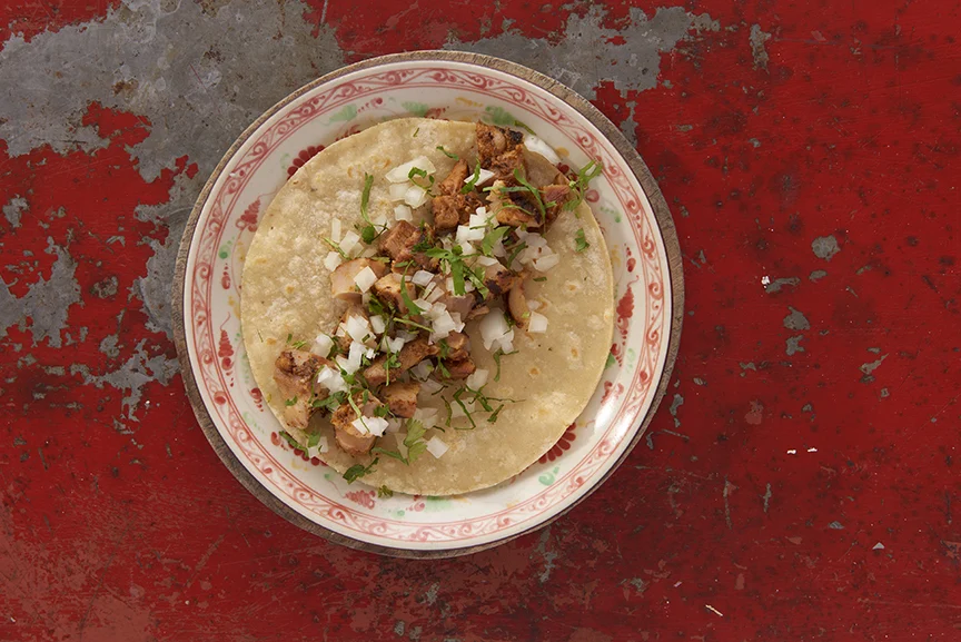 Pollo Tacos