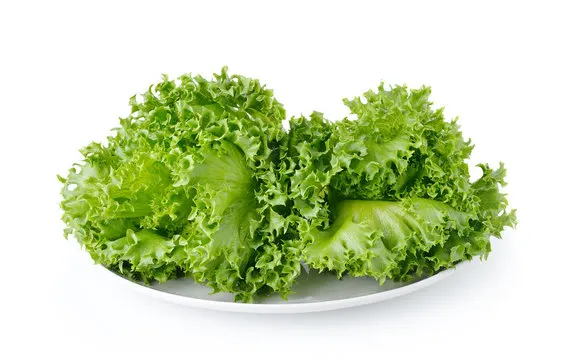 Lettuce Lettuce