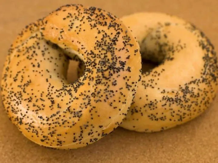 Poppy Bagel Poppy Bagel
