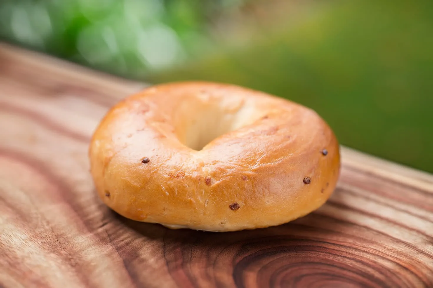 Garlic Bagel Garlic Bagel
