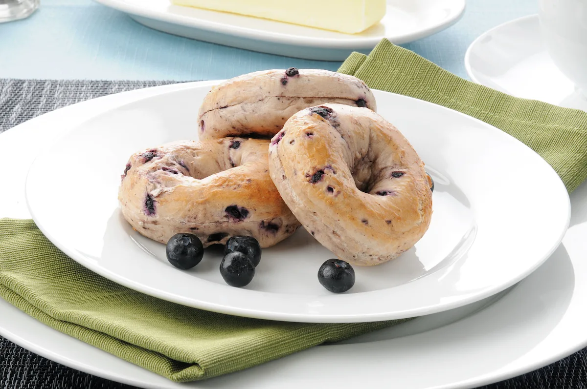 Blueberry Bagel Blueberry Bagel