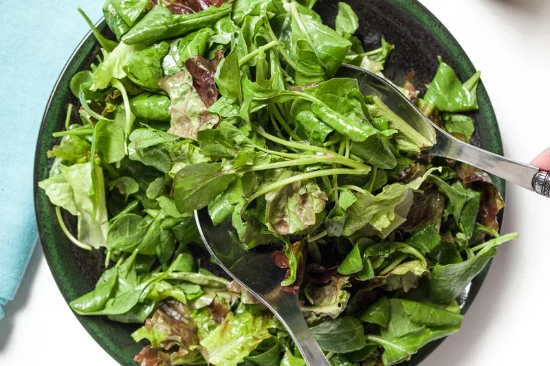 Oasis Salad Oasis Salad