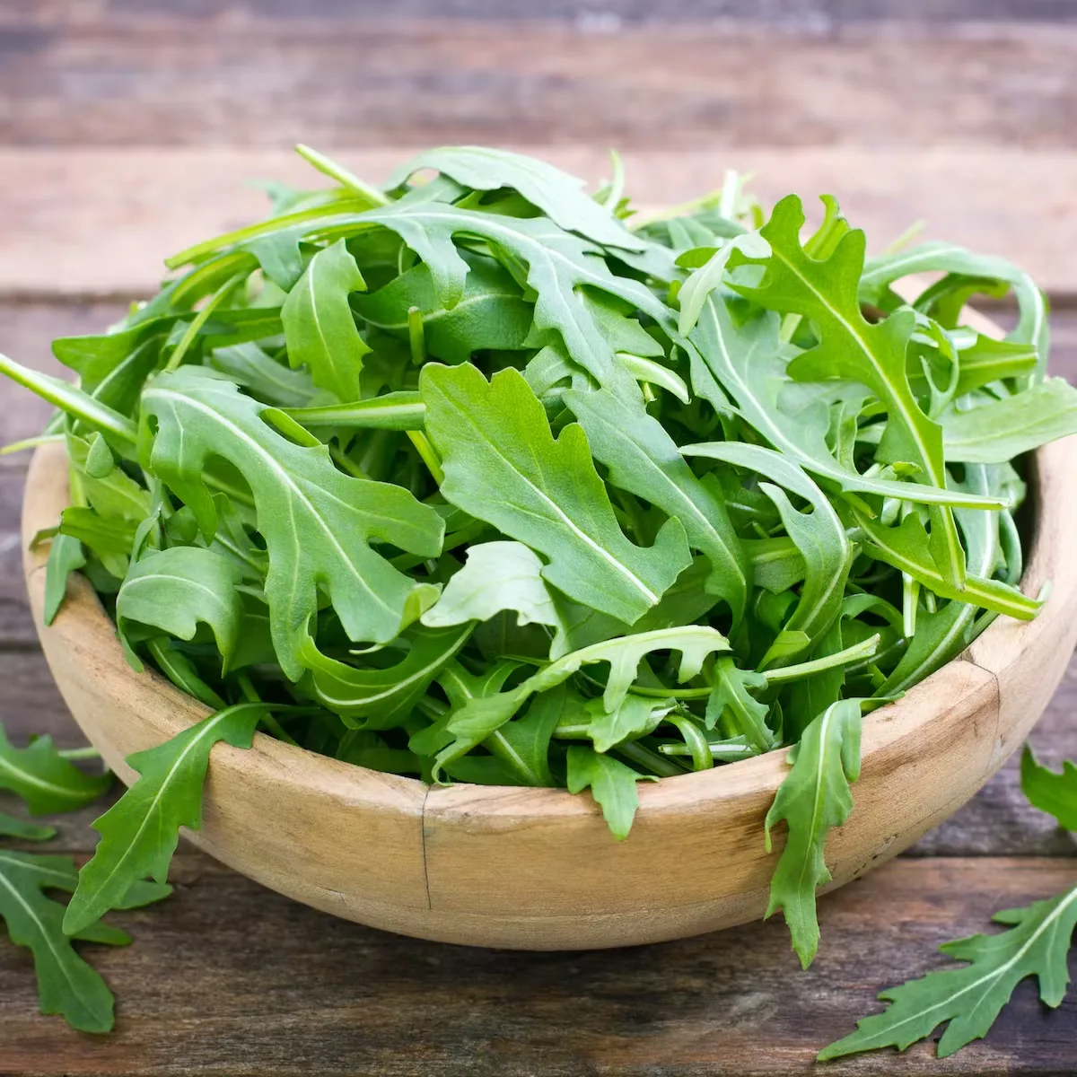 Arugula Arugula