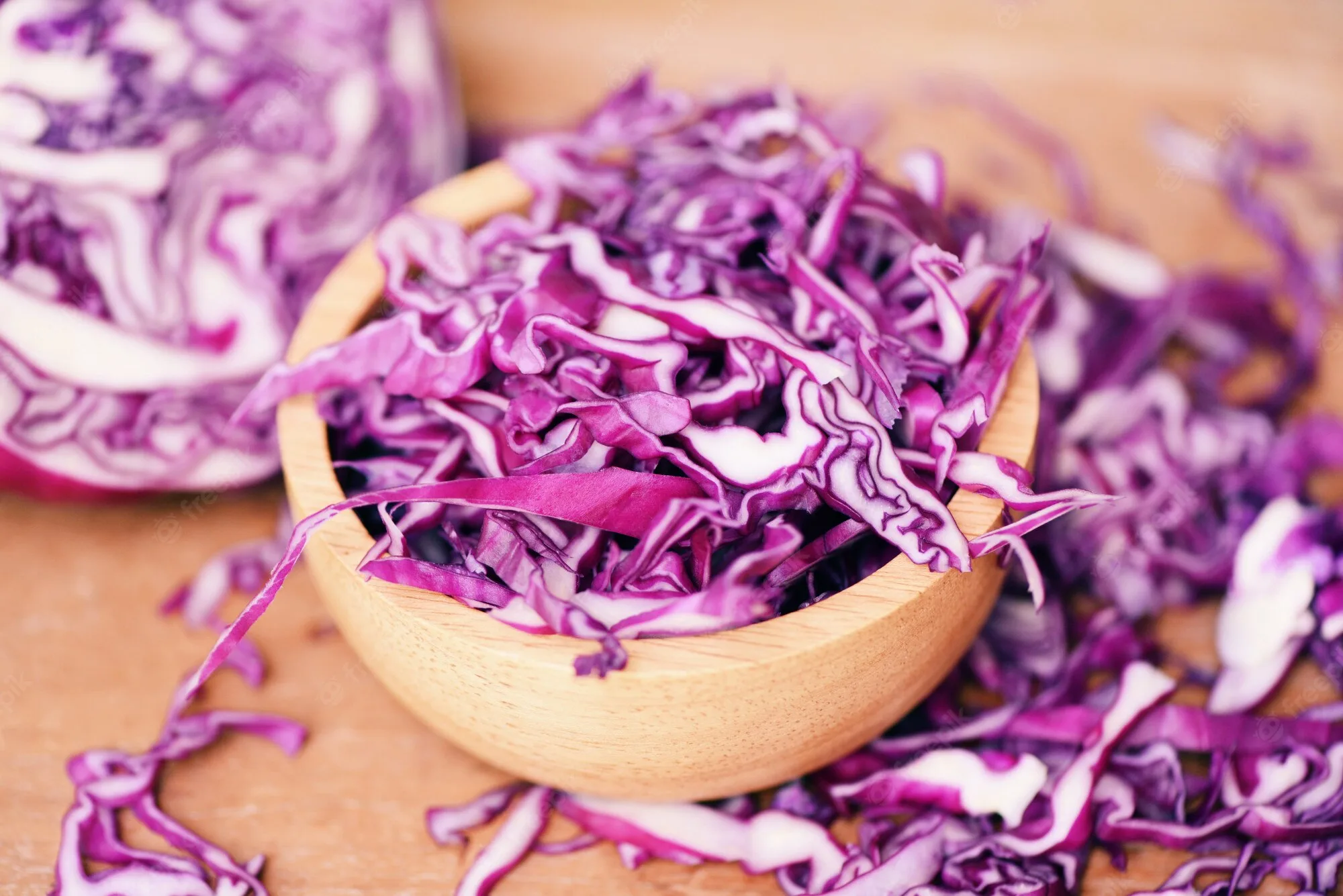 Purple Cabbage Purple Cabbage