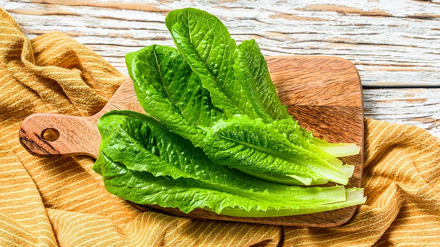 Romaine Romaine