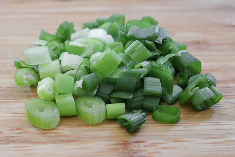 Scalliions Scalliions