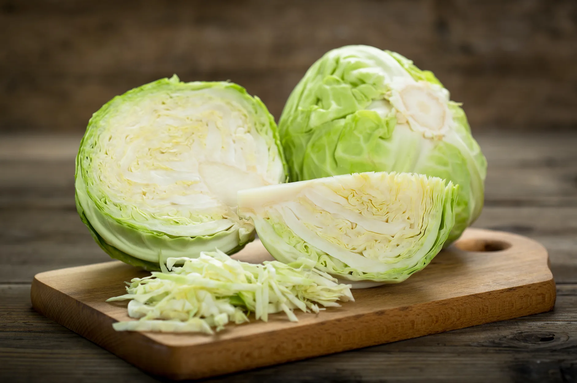 Cabbage Cabbage