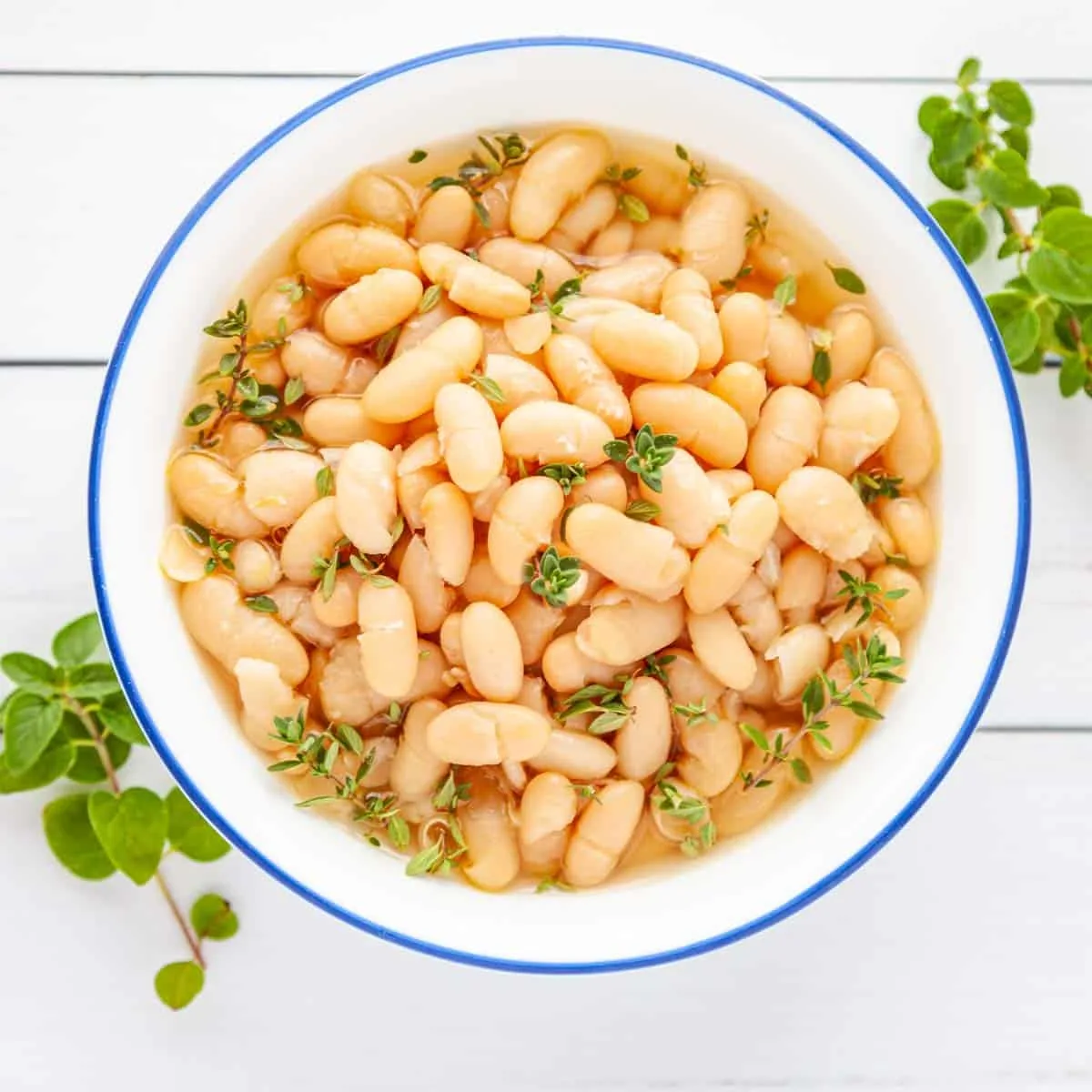 White Beans White Beans
