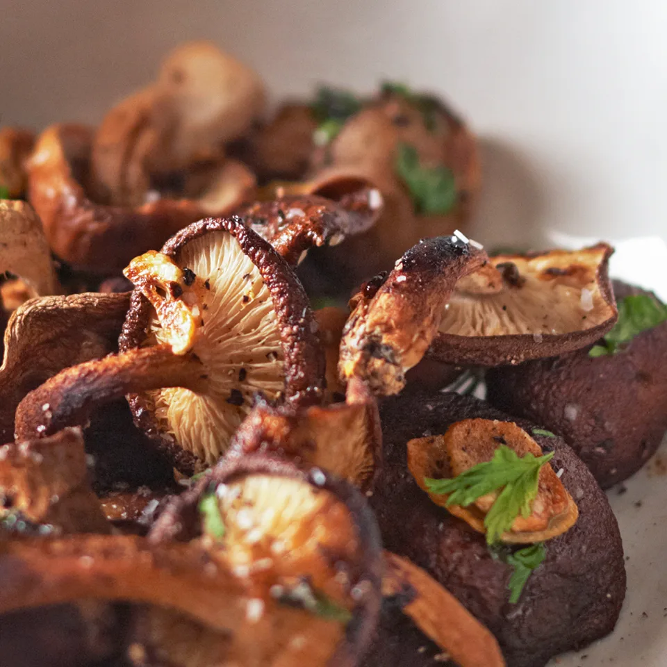 Tofu Mushroom Medley Tofu Mushroom Medley
