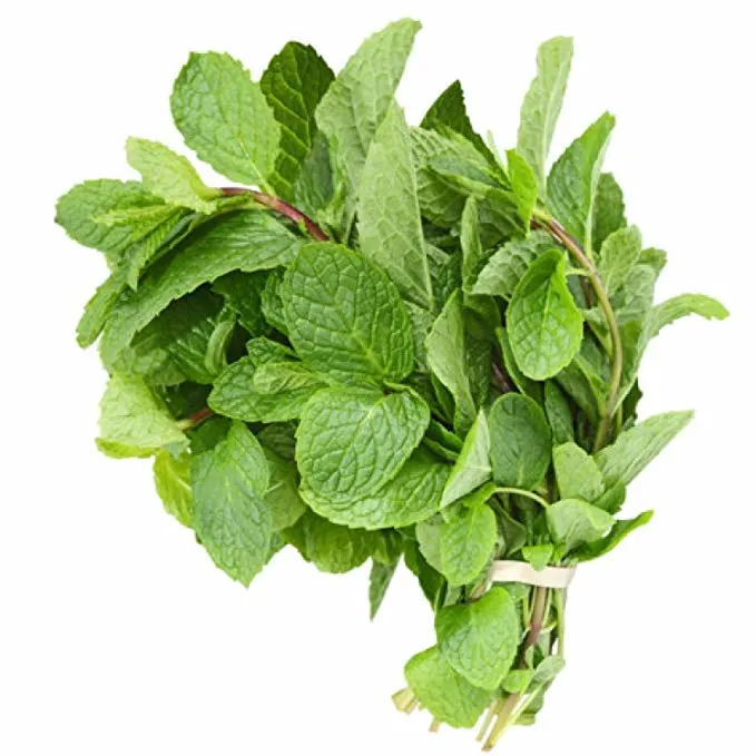 Mint Leaves Mint Leaves